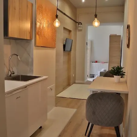 в центрі на вулиці староєврейській 15а біля наливок львова Apartman